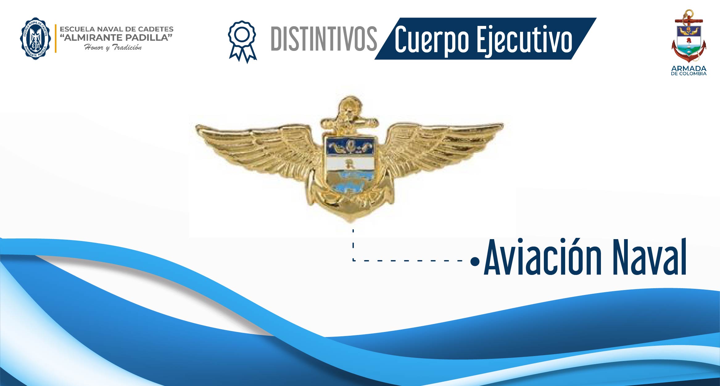 Aviación Naval