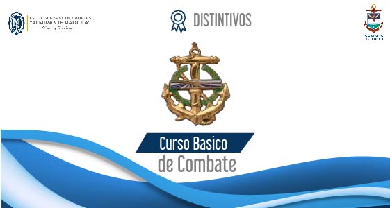 Curso de Combate